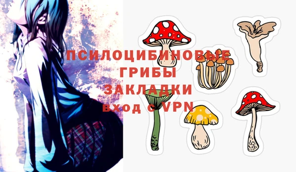 не бодяженный Белокуриха