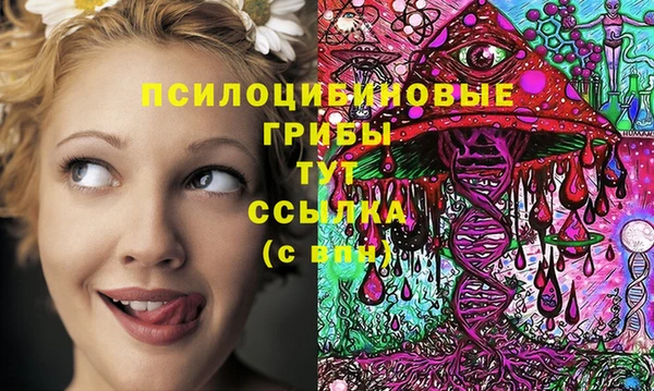 мдпв Беломорск