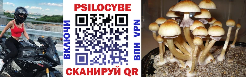 mega маркетплейс  Красавино  Псилоцибиновые грибы мицелий 